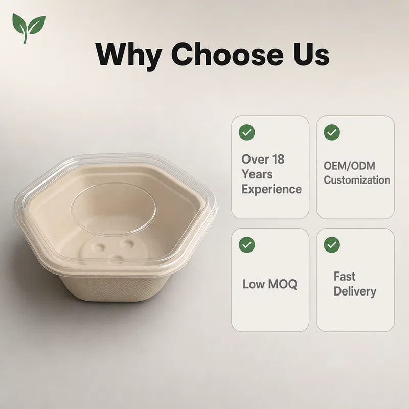 Hexagone écologique en bagasse de canne à sucre