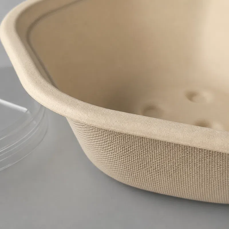 Hexagone écologique en bagasse de canne à sucre