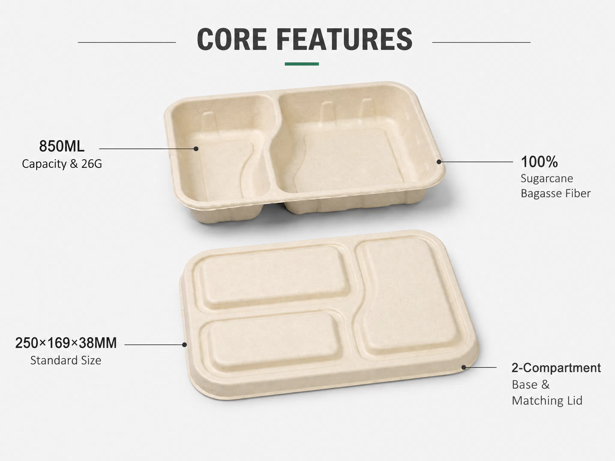 2‑Compartment Bagasse Takeaway Box