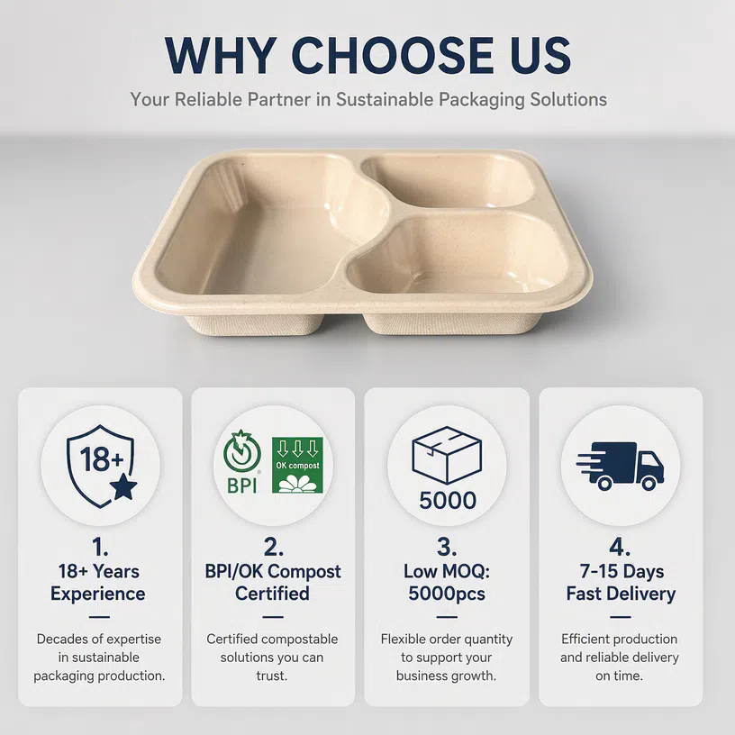 Fluorfreie Bagasse-Schale