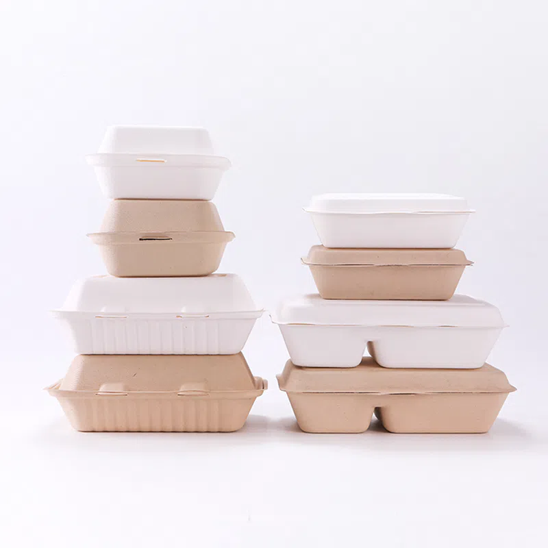 Vaisselle en pulpe moulée de bagasse
