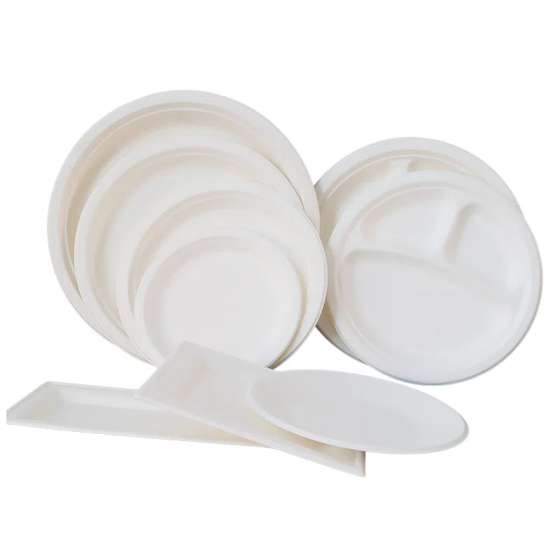 Vaisselle en pulpe moulée de bagasse