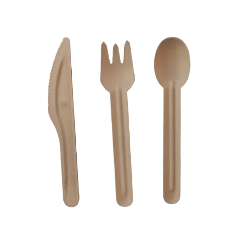 Vaisselle en pulpe moulée de bagasse