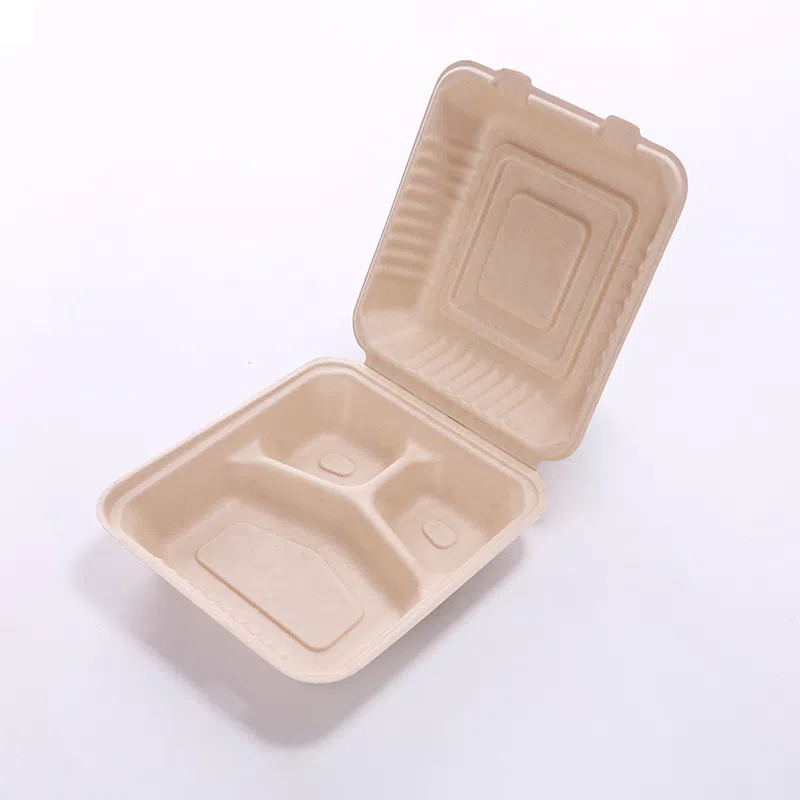 Vaisselle en pulpe moulée de bagasse