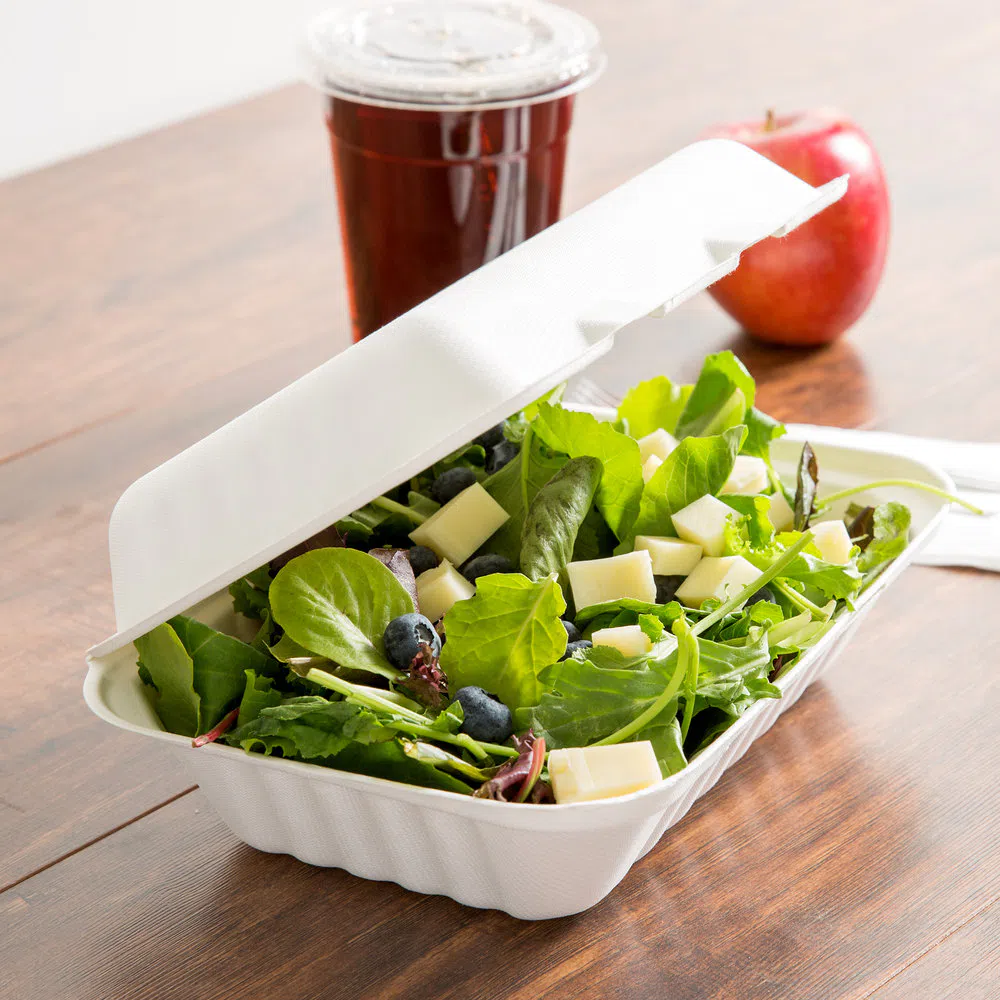 Boîte à emporter biodégradable à compartiments