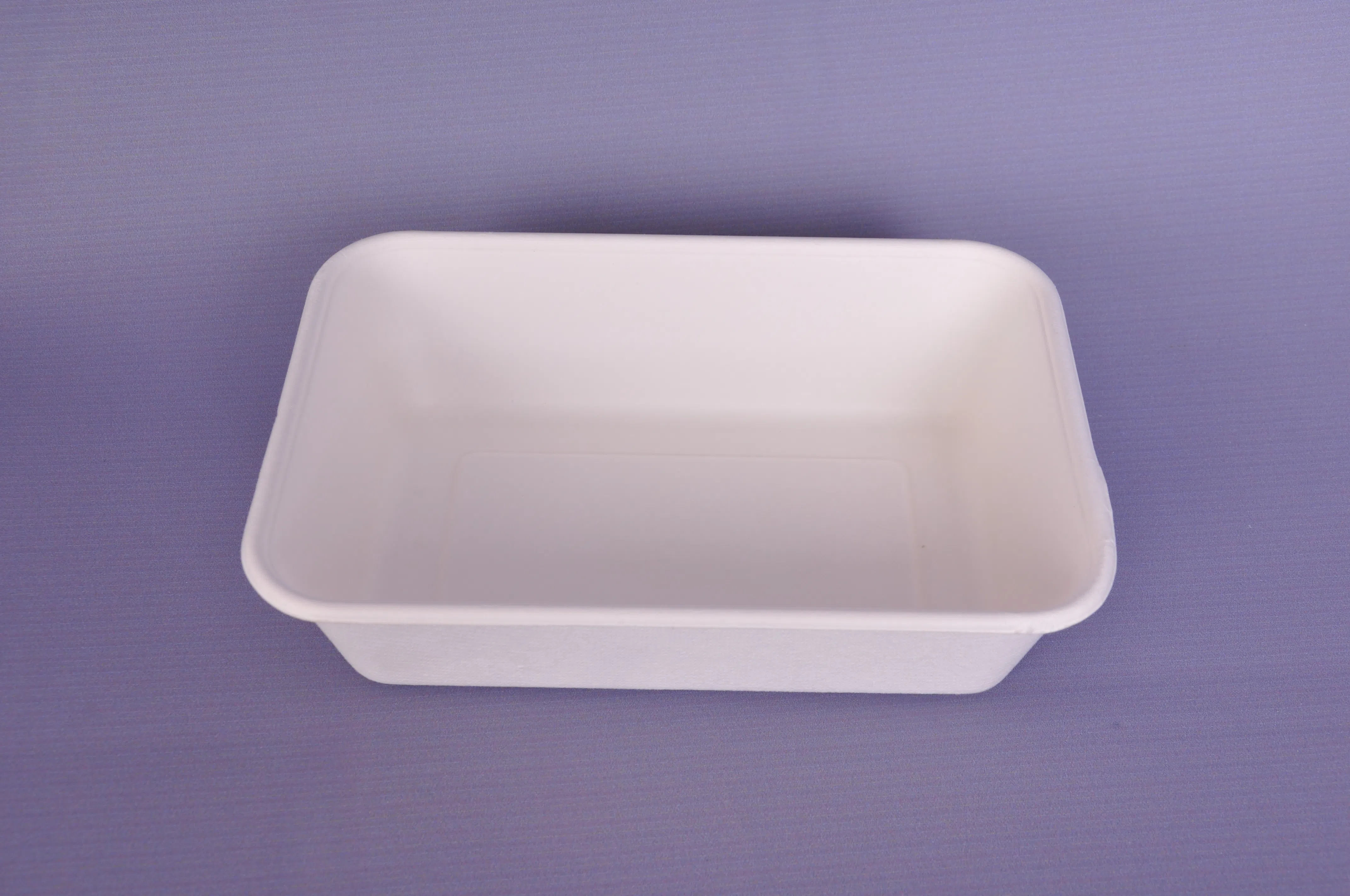 Recipiente biodegradável de cana-de-açúcar para alimentos com tampa