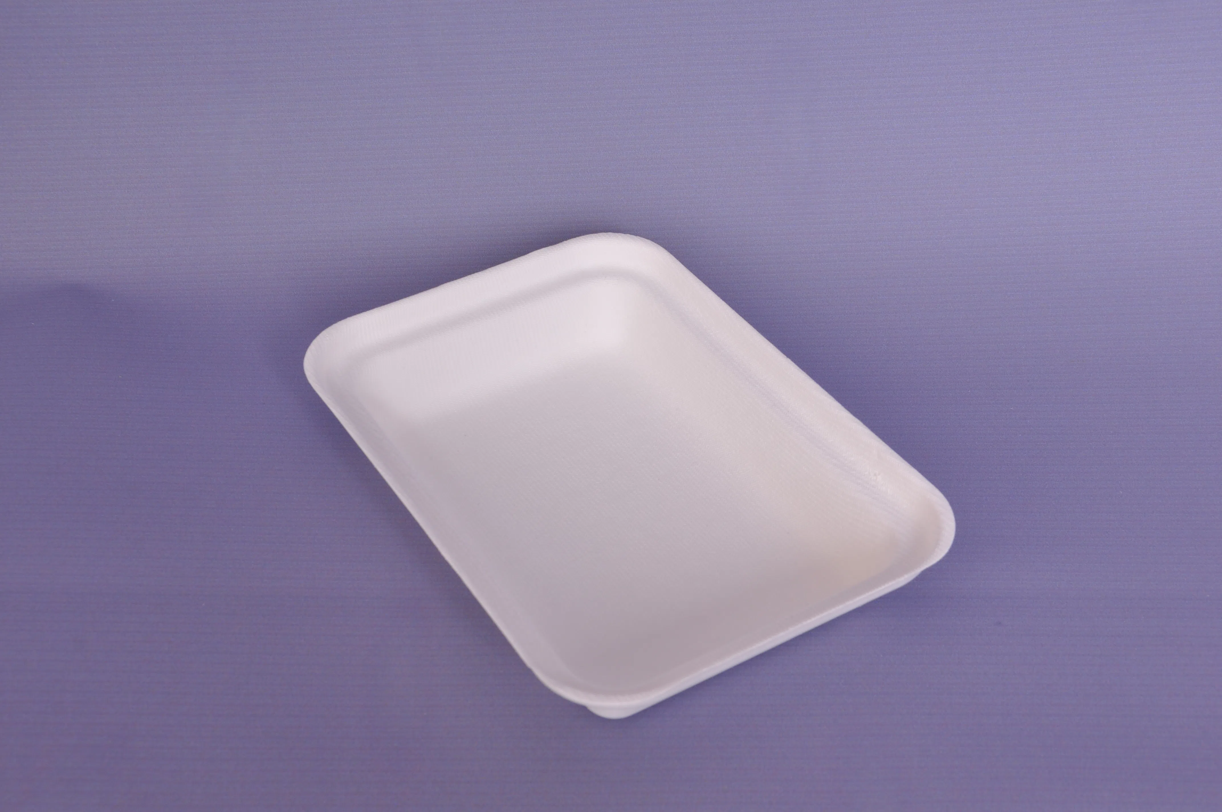 Recipiente biodegradável de cana-de-açúcar para alimentos com tampa