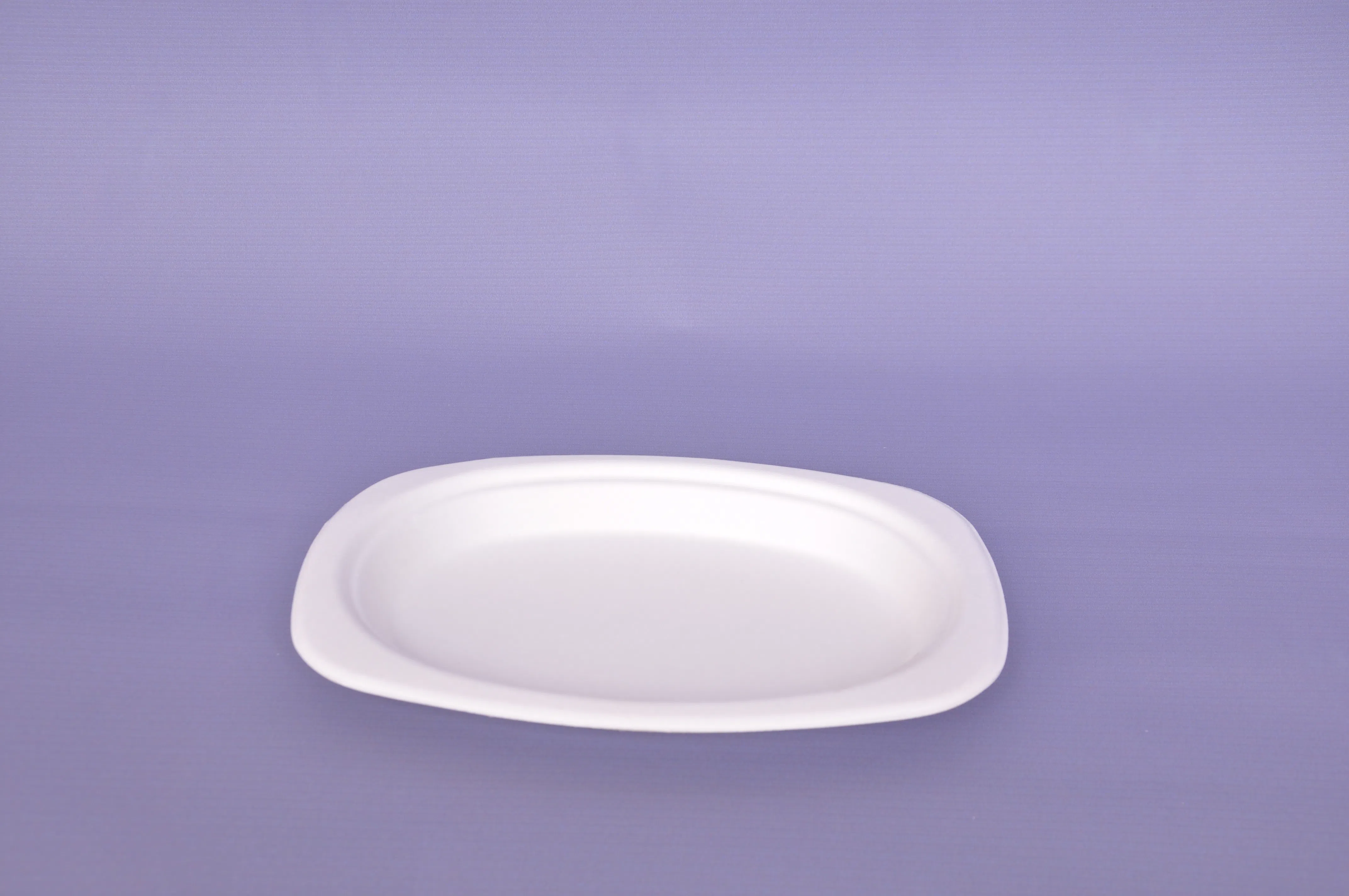 Ovale Zuckerrohr-Platte