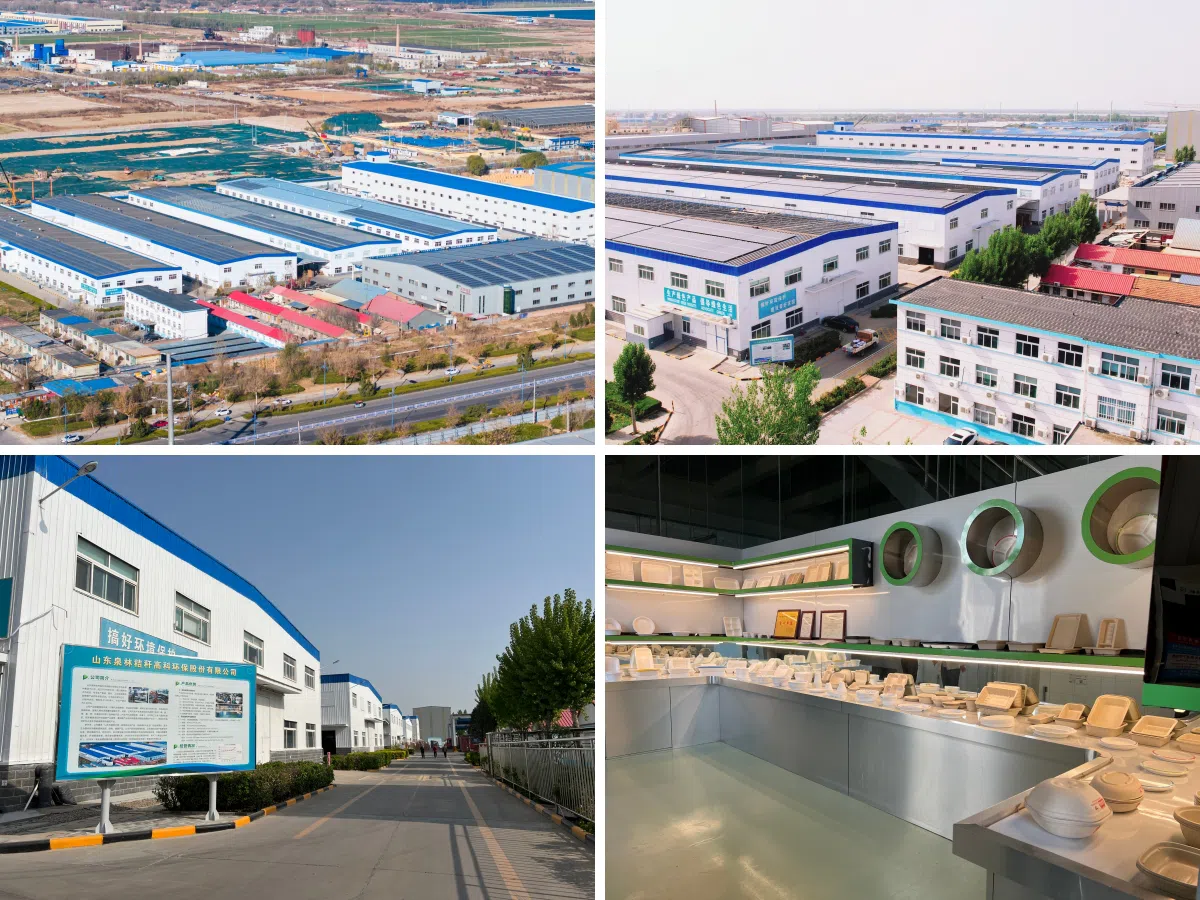 Aangepaste gegoten pulp industriële verpakking