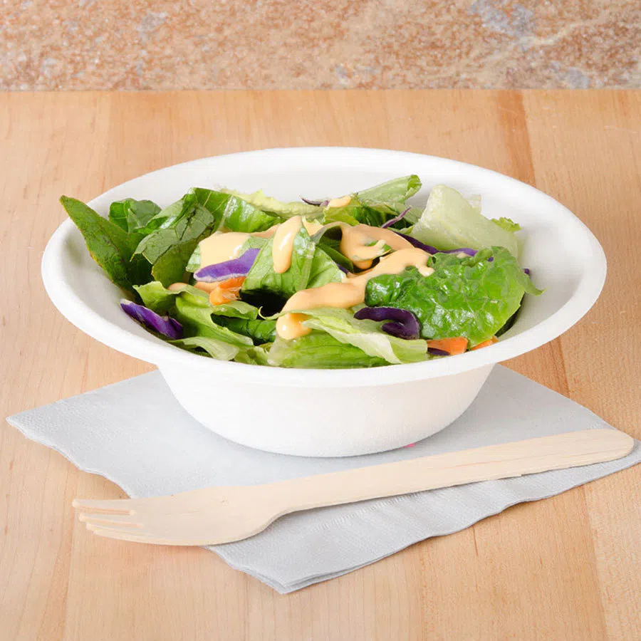 Bagasse Tableware