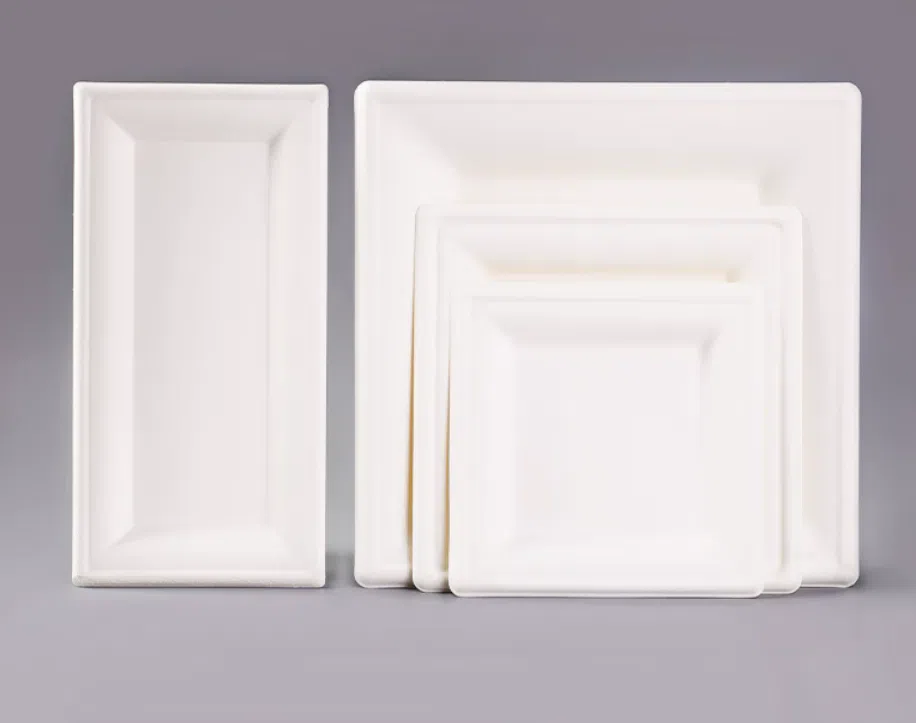 Assiette carrée en fibre de pulpe