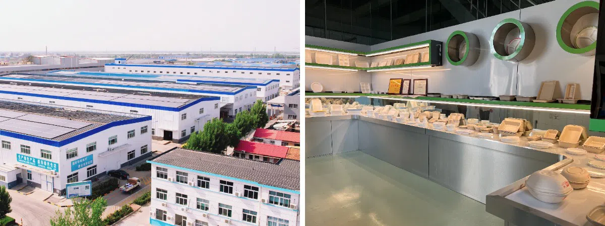 Shandong Tranlin Straw New Environmental Technology Joint Stock Company Limited