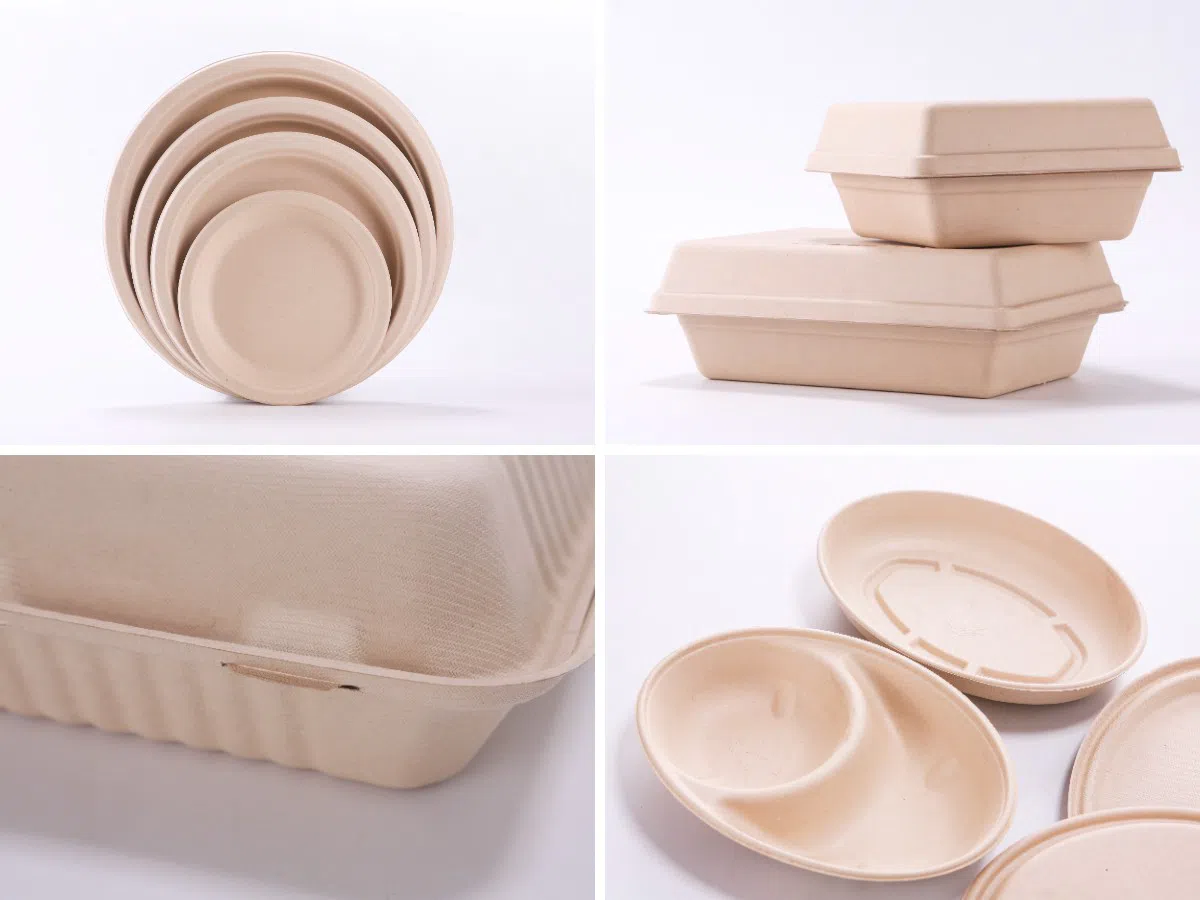 Vaisselle en pulpe moulée de bagasse